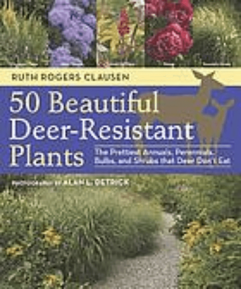 50 beautiful deer-resistant plants : the prettiest annuals, perennials, bulbs, and shrubs that deer don't eat